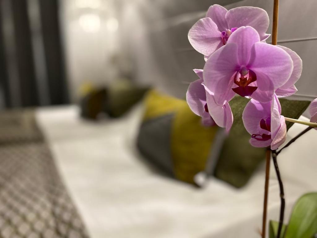 Brit Hotel Acacias Arles Dış mekan fotoğraf