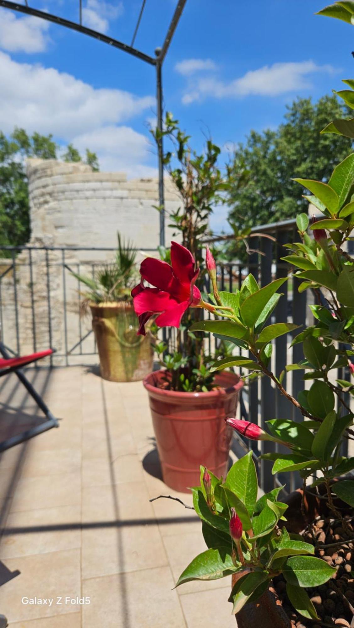 Brit Hotel Acacias Arles Dış mekan fotoğraf